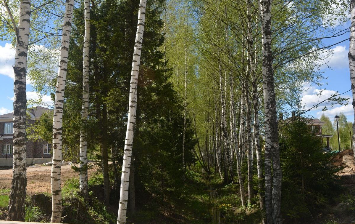 DSC_0623_новый размер.JPG