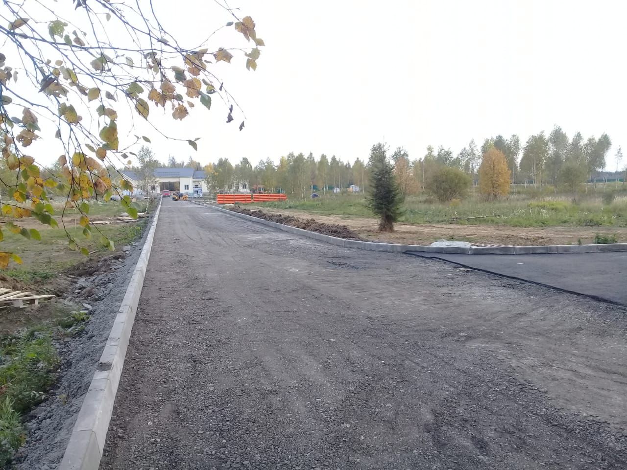 WhatsApp Image 2020-10-06 at 10.45.41.jpeg