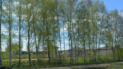 DSC_0608_новый размер.JPG